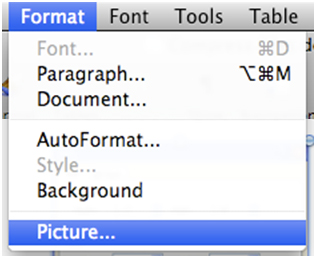 large file size in word for mac 2011